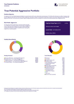 Aggressive Portfolio Factsheet