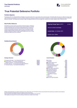 Defensive Portfolio Factsheet