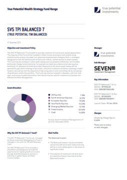 True Potential 7IM Balanced Factsheet