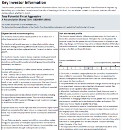 True Potential Pictet Aggressive Key Investor Information