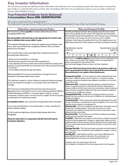 True Potential Goldman Sachs Balanced Key Investor Information