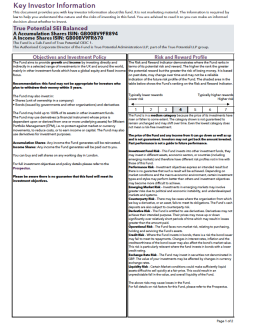 True Potential SEI Balanced Key Investor Information