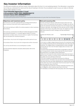 True Potential SEI Aggressive Key Investor Information