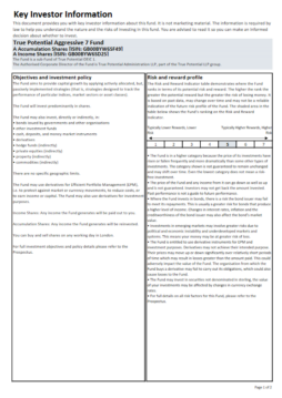 True Potential 7IM Aggressive Key Investor Information