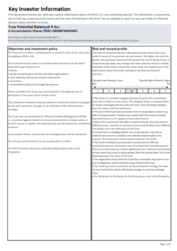 True Potential Goldman Sachs Balanced Key Investor Information