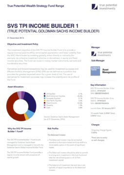 True Potential Goldman Sachs Income Builder Factsheet