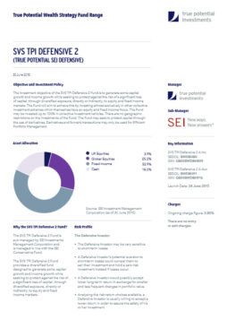True Potential SEI Defensive Factsheet