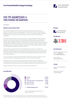 True Potential UBS Aggressive Factsheet