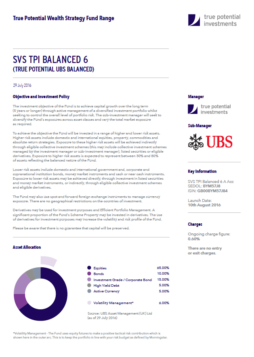 True Potential UBS Balanced Factsheet