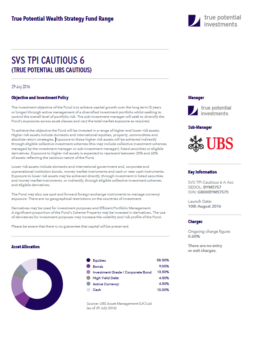 True Potential UBS Cautious Factsheet