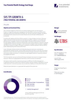 True Potential UBS Growth Factsheet
