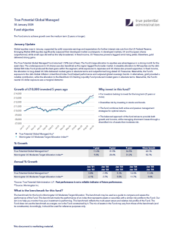 True Potential Global Managed Factsheet