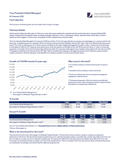 True Potential Global Managed Factsheet