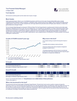 True Potential Global Managed Factsheet