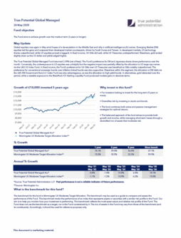 True Potential Global Managed Factsheet