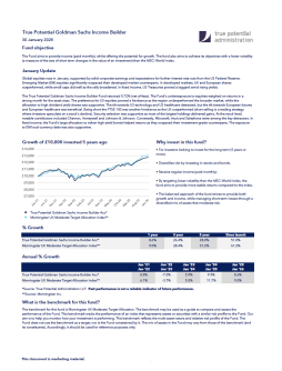 True Potential Goldman Sachs Income Builder Factsheet