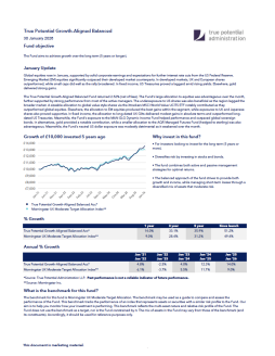 True Potential Growth-Aligned Balanced Factsheet