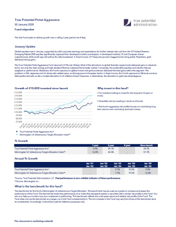 True Potential Pictet Aggressive Factsheet