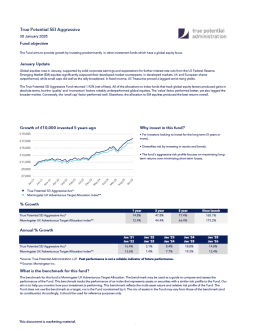 True Potential SEI Aggressive Factsheet