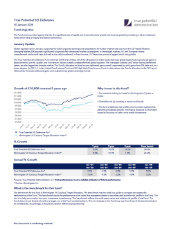 True Potential SEI Defensive Factsheet