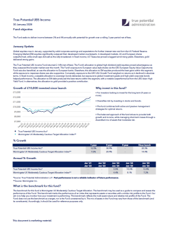 True Potential UBS Income Factsheet