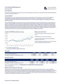 True Potential UBS Aggressive Factsheet