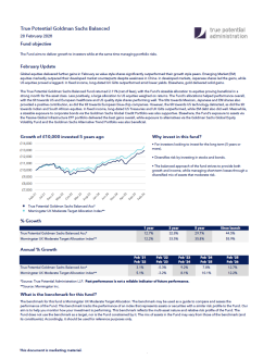 True Potential Goldman Sachs Balanced Factsheet