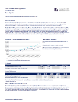 True Potential Pictet Aggressive Factsheet
