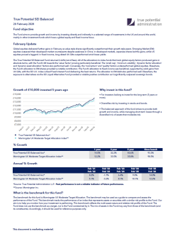 True Potential SEI Balanced Factsheet