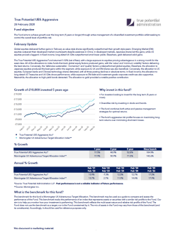 True Potential UBS Aggressive Factsheet