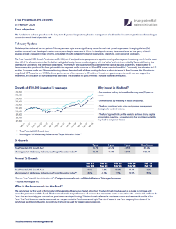 True Potential UBS Growth Factsheet