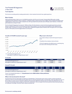 True Potential SEI Aggressive Factsheet