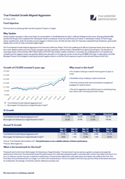 True Potential Growth-Aligned Aggressive Factsheet