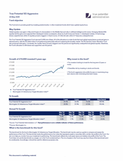 True Potential SEI Aggressive Factsheet