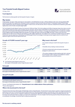 True Potential Growth-Aligned Balanced Factsheet
