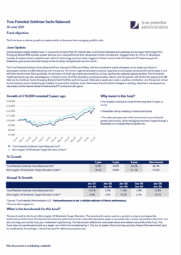 True Potential Goldman Sachs Balanced Factsheet