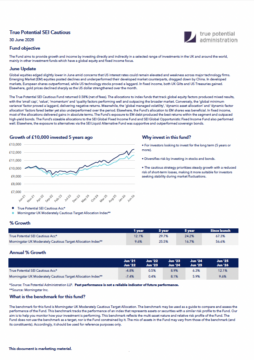 True Potential SEI Cautious Factsheet