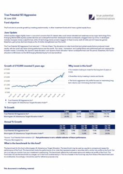 True Potential SEI Aggressive Factsheet