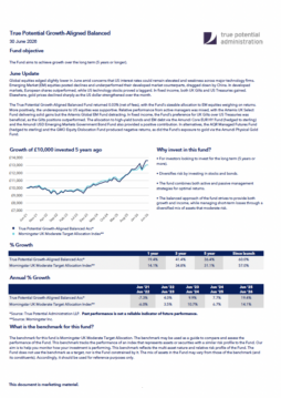 True Potential Growth-Aligned Balanced Factsheet