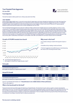 True Potential Pictet Aggressive Factsheet